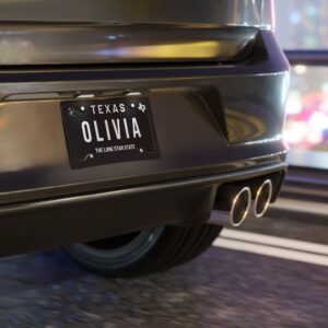 Personalized Texas Vanity Plate — Custom Name License Plate (e.g., OLIVIA)